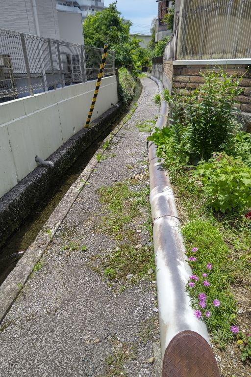 Vacant Farmland Plot for Sale in Kochi City, Kamobe - Thumbnail 2