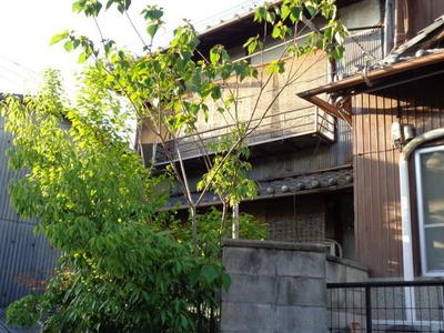 Used detached house (property number: 0008271-0003024) 15 minutes walk from JR Nara Line Tofukuji Station (Higashiyama Ward, Kyoto City) — Image 2, Higashiyama, Kyoto
