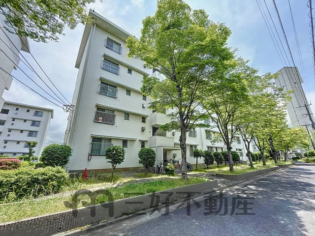 Renovated 2LDK Apartment in Sawara Ward, Fukuoka - Thumbnail 3