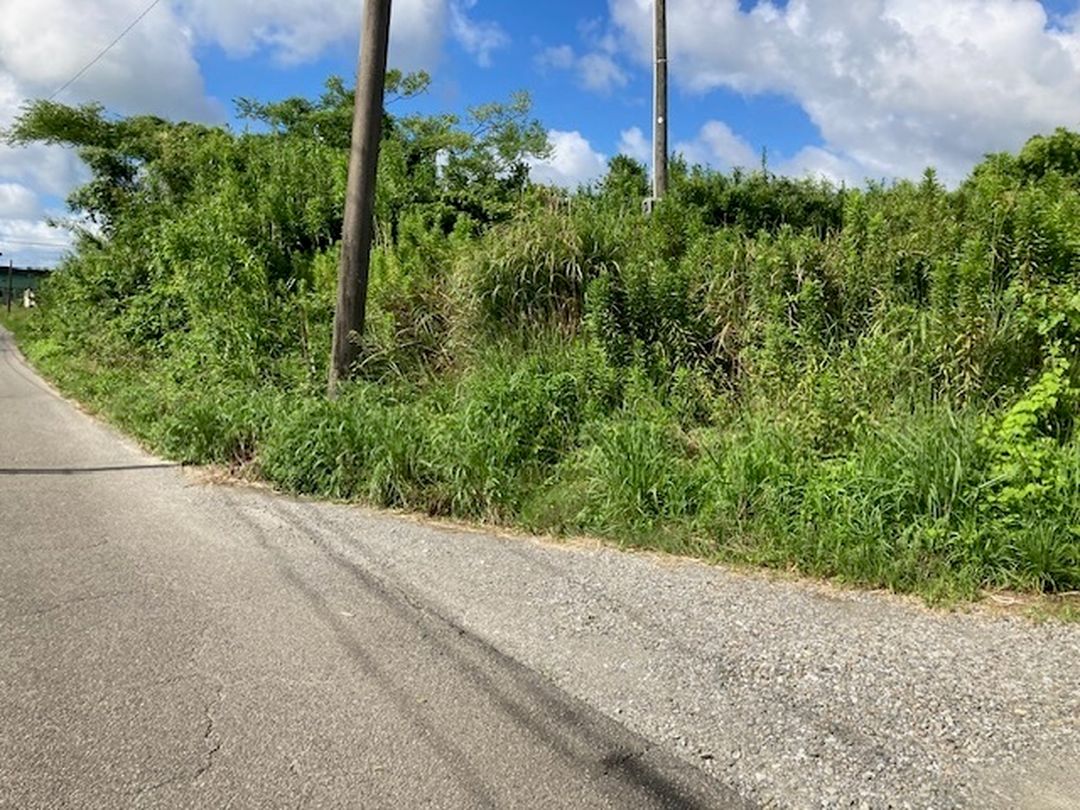 Vacant Land for Sale in Itohara, Miyazaki City - Thumbnail 2