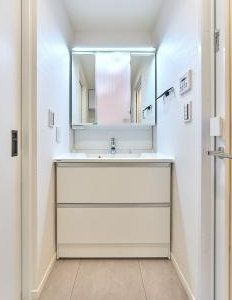 Renovated 3LDK Apartment in Koto-ku, Tokyo, 56.92 sqm - Thumbnail 4