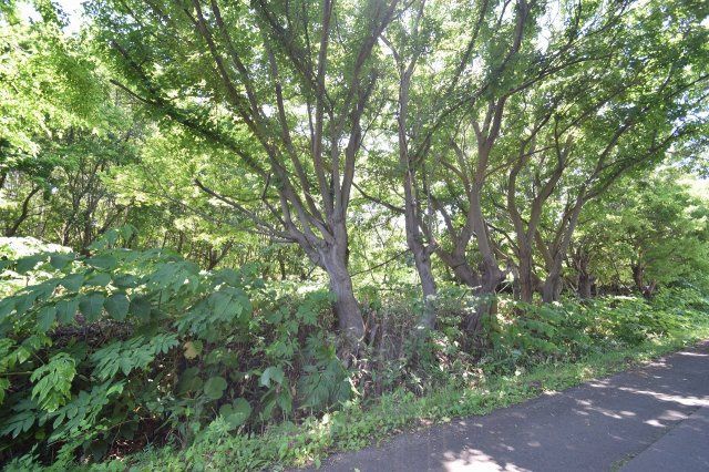 904 Tsubo Land for Sale in Otaru, Hokkaido - Near Shioya Beach - Thumbnail 3