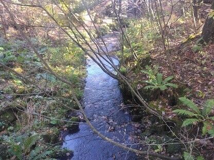 Vacant Land for Sale in Tsumagoi Village, Gunma - 498 sqm - Thumbnail 3