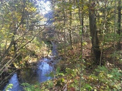 Vacant Land for Sale in Tsumagoi Village, Gunma - 498 sqm - Thumbnail 2