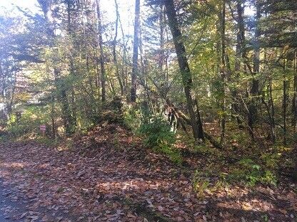 Vacant Land for Sale in Tsumagoi Village, Gunma - 498 sqm - Thumbnail 4