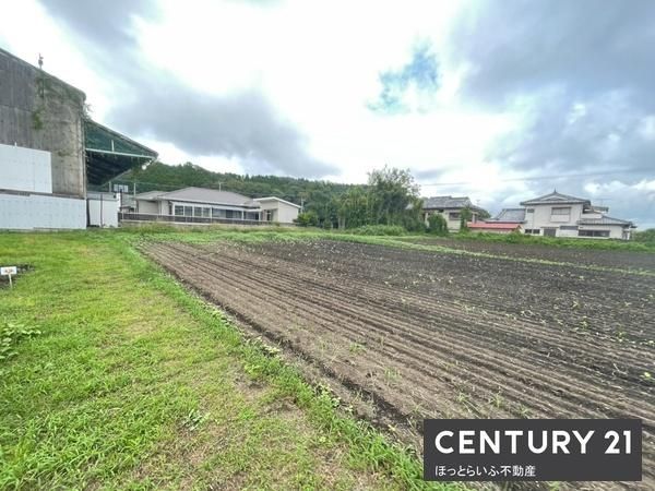 Spacious Land for Sale in Tranquil Miyakonojo, Miyazaki - Thumbnail 3