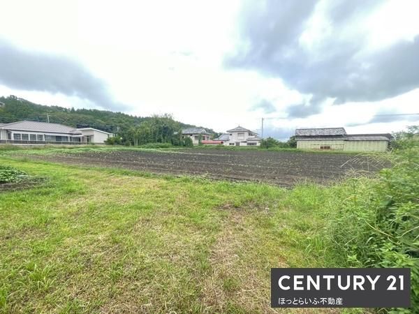 Spacious Land for Sale in Tranquil Miyakonojo, Miyazaki - Thumbnail 2