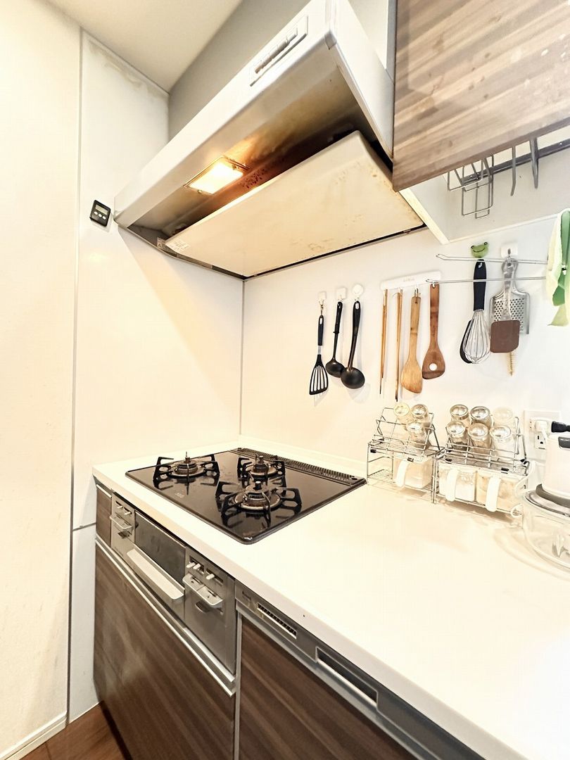 Sangrande Matsudo 3LDK Apartment Near JR Station - Thumbnail 2