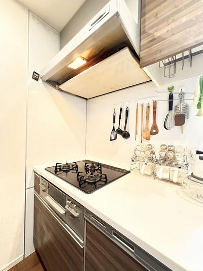 Sangrande Matsudo 3LDK Apartment Near JR Station — Image 1, Matsudo, Chiba