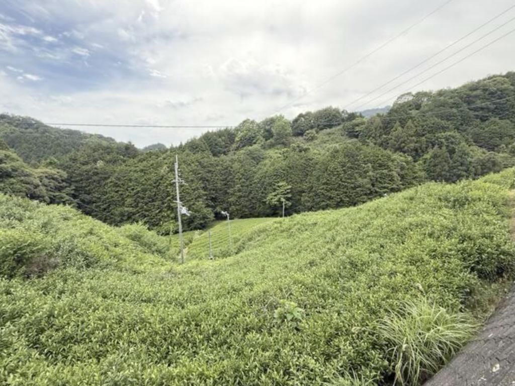 Tea Field Land for Sale in Wazuka, Kyoto - 3,059 sqm Plot - Thumbnail 2