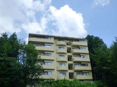 2LDK Resort Condo with Onsen & Mount Fuji View in Yamanakako — Image 10, Yamanakako, Yamanashi