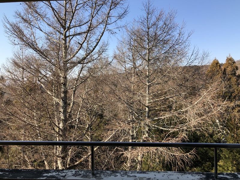 2LDK Resort Condo with Onsen & Mount Fuji View in Yamanakako - Thumbnail 3