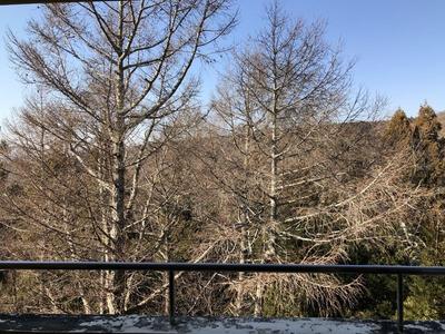 2LDK Resort Condo with Onsen & Mount Fuji View in Yamanakako — Image 11, Yamanakako, Yamanashi