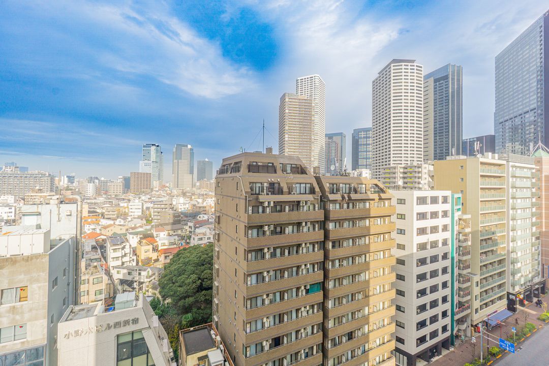 Renovated 1LDK Apartment in City Tower Shinjuku New Center - Thumbnail 2