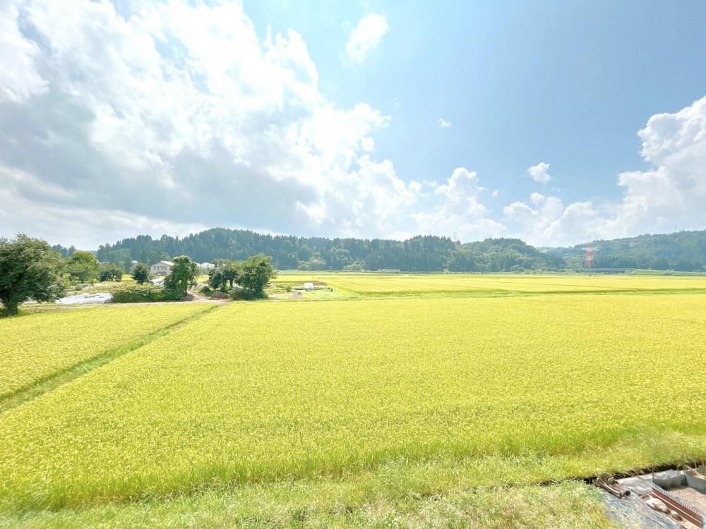 Renovated 4LDK House in Uonuma City, Niigata - Thumbnail 4