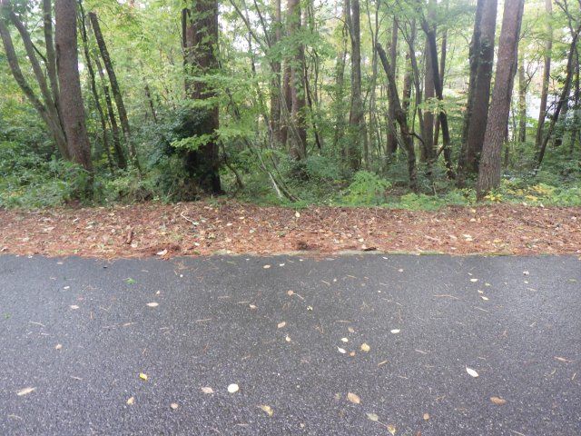 800 sqm Land Plot in Royal City Daisen Resort, Tottori - Thumbnail 4