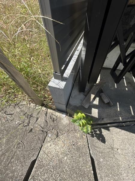 Land for Sale in Fushimi Ward, Kyoto - 195.36 sqm Corner Lot - Thumbnail 2
