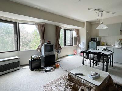 Forest Hills Ishiuchi 1LDK Condo for Sale in Niigata Ski Resort — Interior, Maiko, Gunma