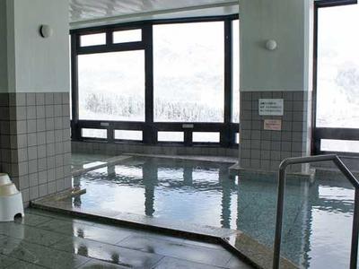 Forest Hills Ishiuchi 1LDK Condo for Sale in Niigata Ski Resort — Interior, Maiko, Gunma