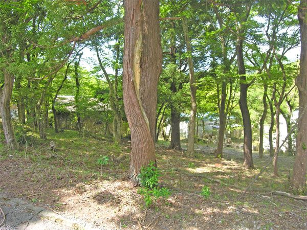 Vacant Land for Sale in Akazawa Moyo-dai, Ito City, Shizuoka - Thumbnail 2