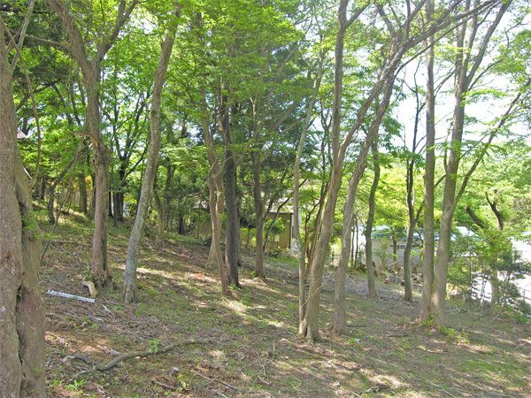 Vacant Land for Sale in Akazawa Moyo-dai, Ito City, Shizuoka - Thumbnail 3