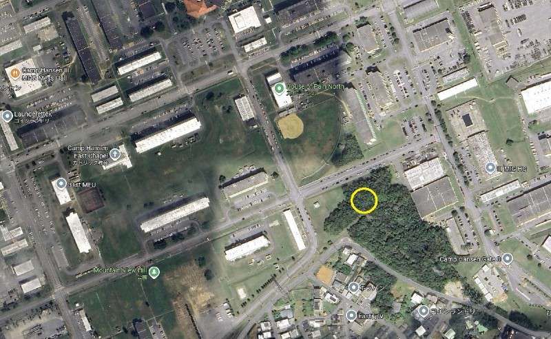 Land for Sale in Kin Town, Okinawa - 957 sqm Flat Plot - Thumbnail 2