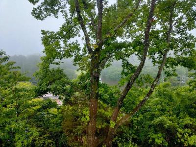 Spacious 4LDK House on Large Plot in Jinseki Kogen, Hiroshima — Land, Jinseki Kogen, Hiroshima