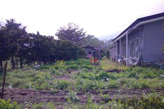 4LDK Single-Story House with Large Garden in Yoichi, Hokkaido - Thumbnail 3