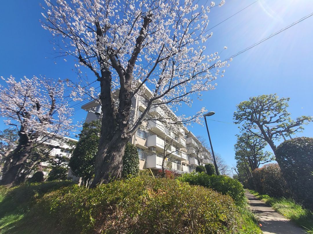 Renovated 4LDK Apartment Near Hasuda Station, Saitama - Image 1