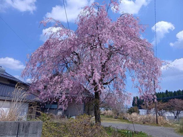 5DK Akiya House with Large Garden in Takamori, Kumamoto - Thumbnail 3