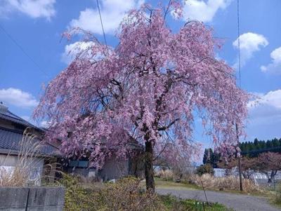 5DK Akiya House with Large Garden in Takamori, Kumamoto — New_build, Takamori, Kumamoto
