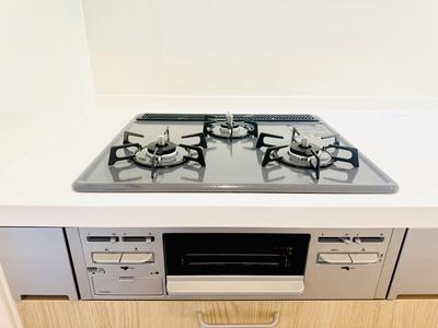 Renovated 3LDK Apartment with Rooftop Terrace in Sakura Eucalyptus Hills — Image 9, Sakura, Chiba