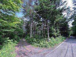 Land for Sale in Tsumagoi Village, Gunma - 811 sqm — Land, Tsumagoi, Gunma