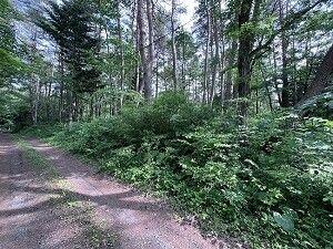 Land for Sale in Tsumagoi Village, Gunma - 811 sqm — Land, Tsumagoi, Gunma