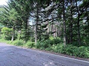 Land for Sale in Tsumagoi Village, Gunma - 811 sqm — Land, Tsumagoi, Gunma