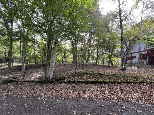 911 sqm Vacant Land for Sale in Tsumagoi Village, Gunma - Thumbnail 2