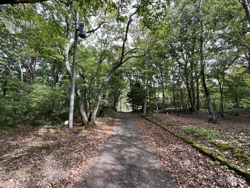 911 sqm Vacant Land for Sale in Tsumagoi Village, Gunma - Thumbnail 4
