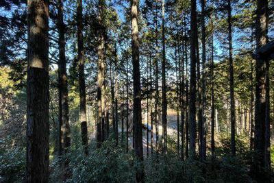 Peaceful Mountain Villa with Hot Spring in Kannami — Image 2, Kannami, Shizuoka