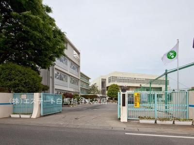 Renovated 3LDK Apartment for Sale in Kasukabe City — Image 4, Kasukabe, Saitama