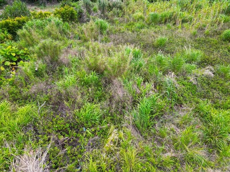 Land for Sale in Nakijin Village, Okinawa - 460 sqm Vacant Plot - Thumbnail 4