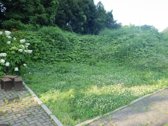 Vacant Land for Sale in Iizuna Town, Nagano - 413.74 sqm - Thumbnail 3