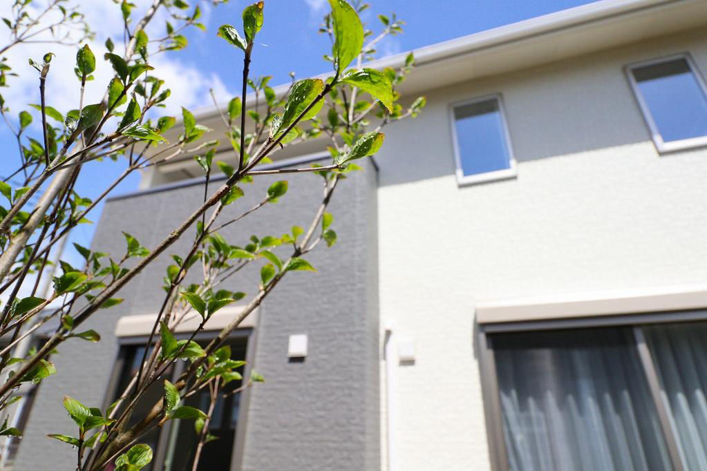 Modern 4LDK house in Tsuchiura with spacious balcony - Thumbnail 3