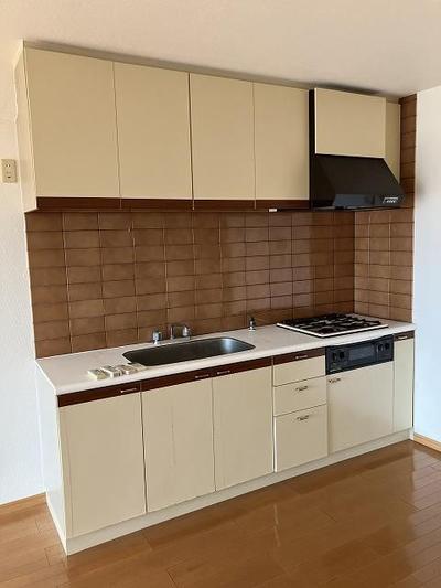 Sun Park Manba Park 3LDK Apartment in Ōharu Town — Interior, Oji, Aichi