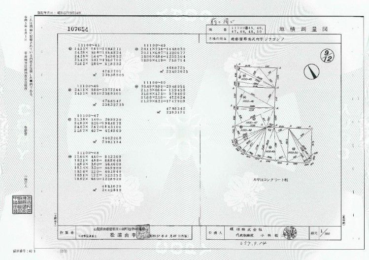 Land for Sale in Narusawa Village, Yamanashi - Mount Fuji Area - Thumbnail 3