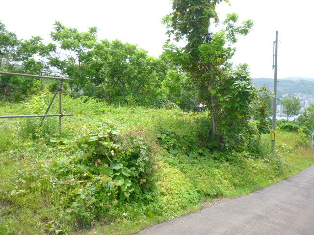 Vacant Land for Sale in Otaru, Hokkaido - 1306 sqm Plot - Thumbnail 3