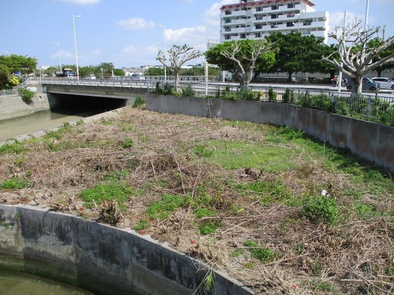 Vacant Land for Sale in Itoman City, Okinawa - 330.79 sqm - Thumbnail 3