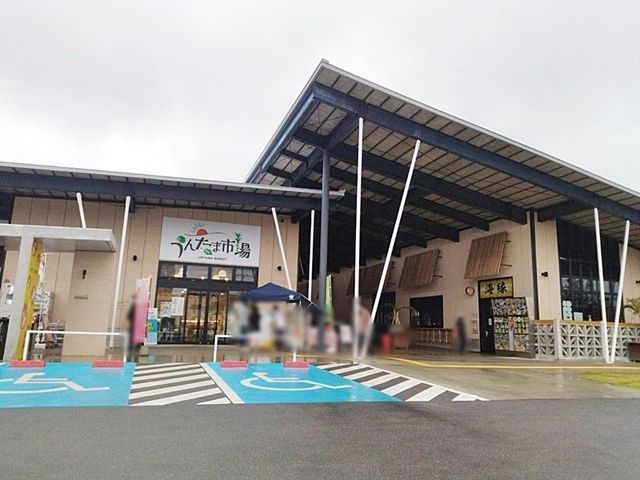 Land for Sale in Nishihara Town, Okinawa - 6 Lot Development - Thumbnail 2