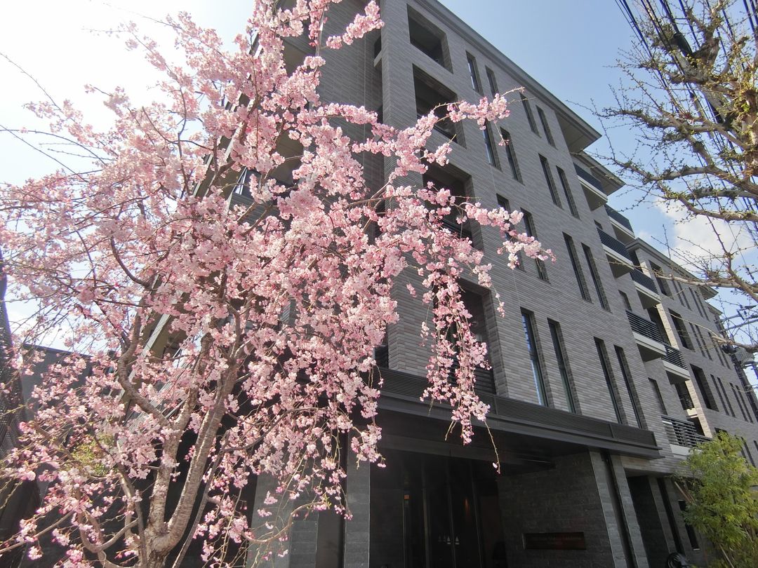 Lions Saga Tenryuji Wakamiya Nishi Residence | Kyoto Apartment - Thumbnail 3