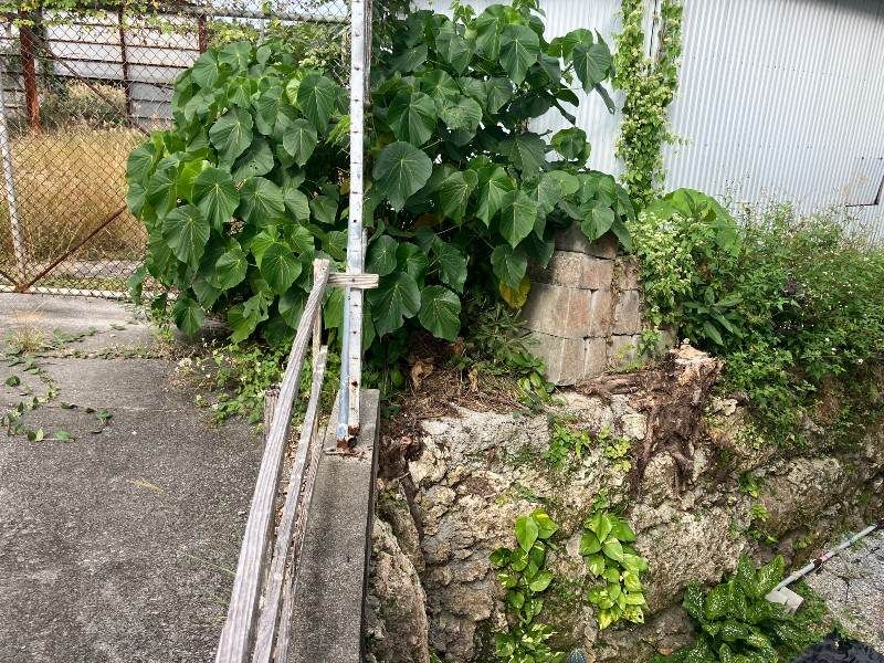 Land for Sale in Uruma, Okinawa - 2,303 sqm Plot - Thumbnail 4