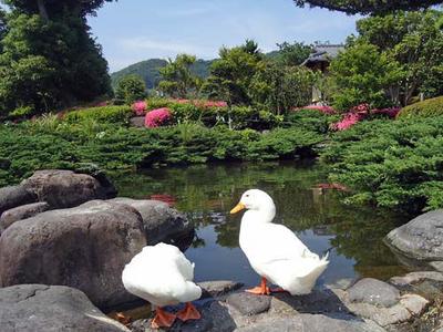 Lucine Minami Atagawa | A used apartment in Higashiizu-cho, Kamo-gun, 5 minutes' walk from Katase-Shirota Station on the Izu Kyuko Line (Property number: 0127953-0001559) — Image 2, Higashiizu, Shizuoka